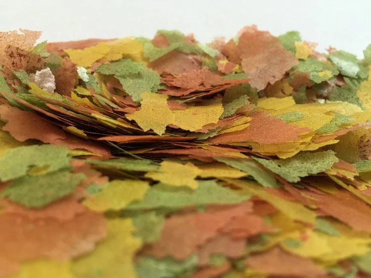 Gold fish Flake Food