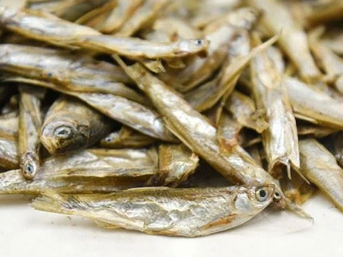 Recommended Dried River Fish Food Recommended Dried River Fish Food